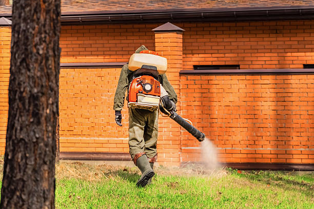 Trusted Mosquito Control service in Marana, AZ - Nex Pest Control
